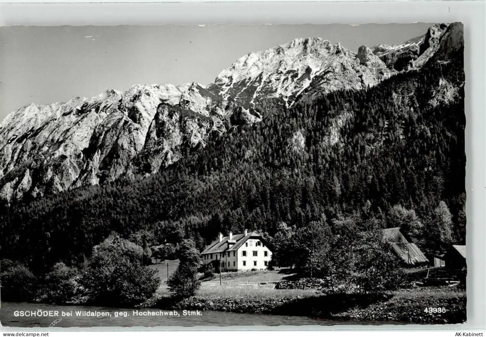 8924 Wildalpen - 52172393