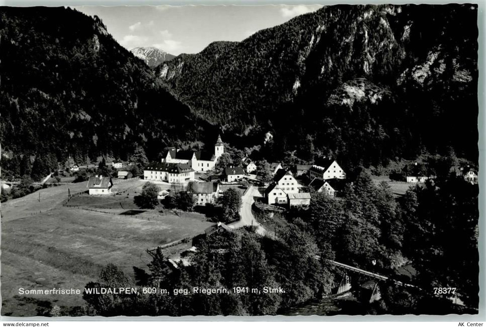 8924 Wildalpen - Riegerin - 10280087