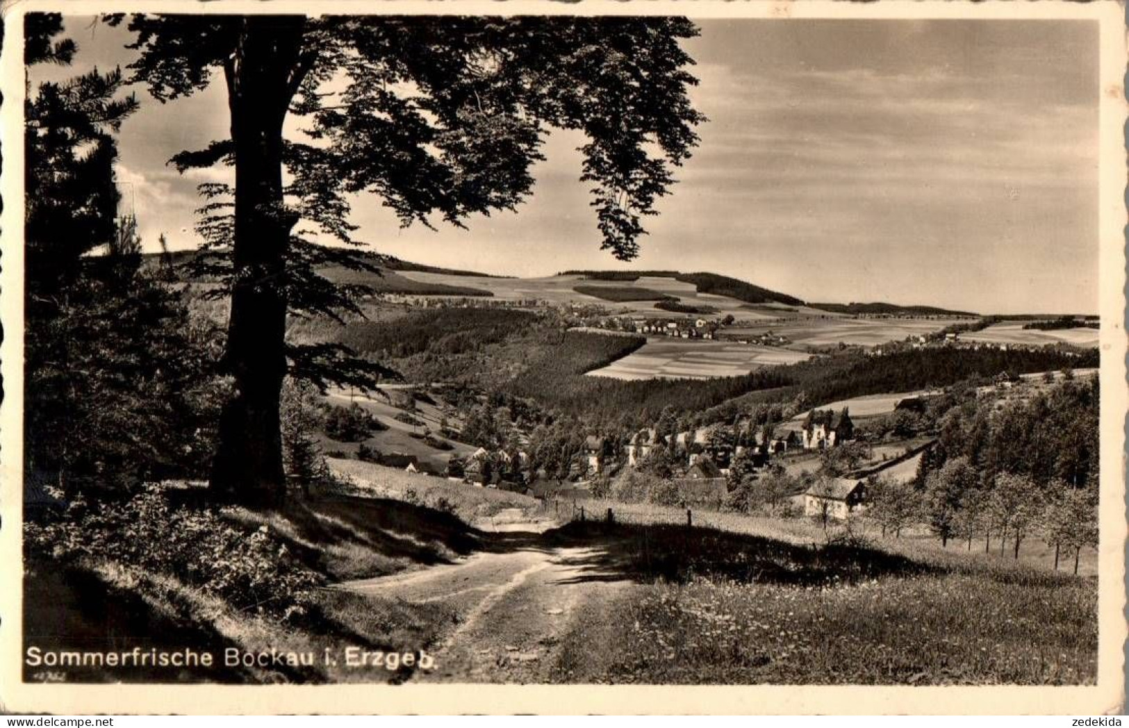 8929 - Bockau - Verlag Georgi