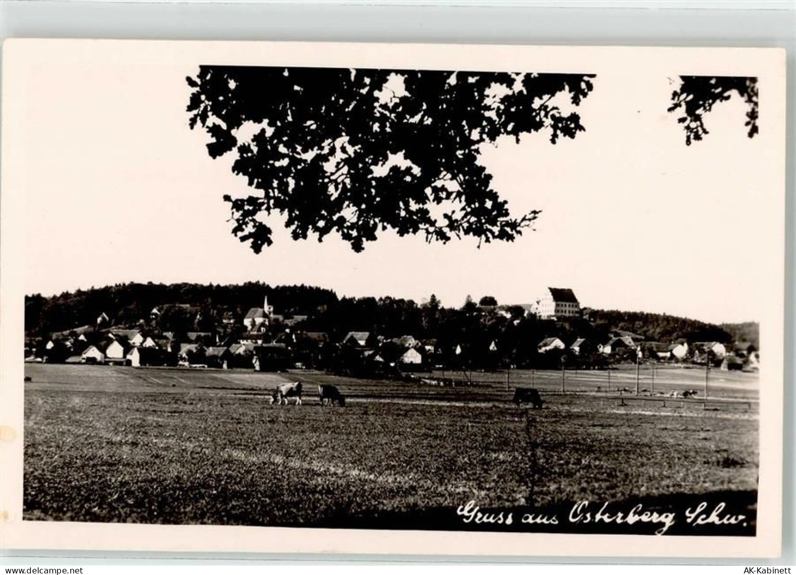 89296 W7919 Osterberg b Illertissen - 52109704