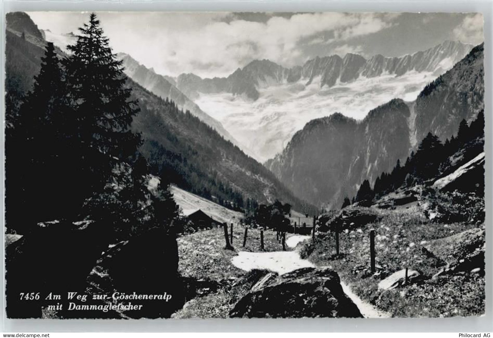 8942 Oberrieden - Göschneralp - 50439269