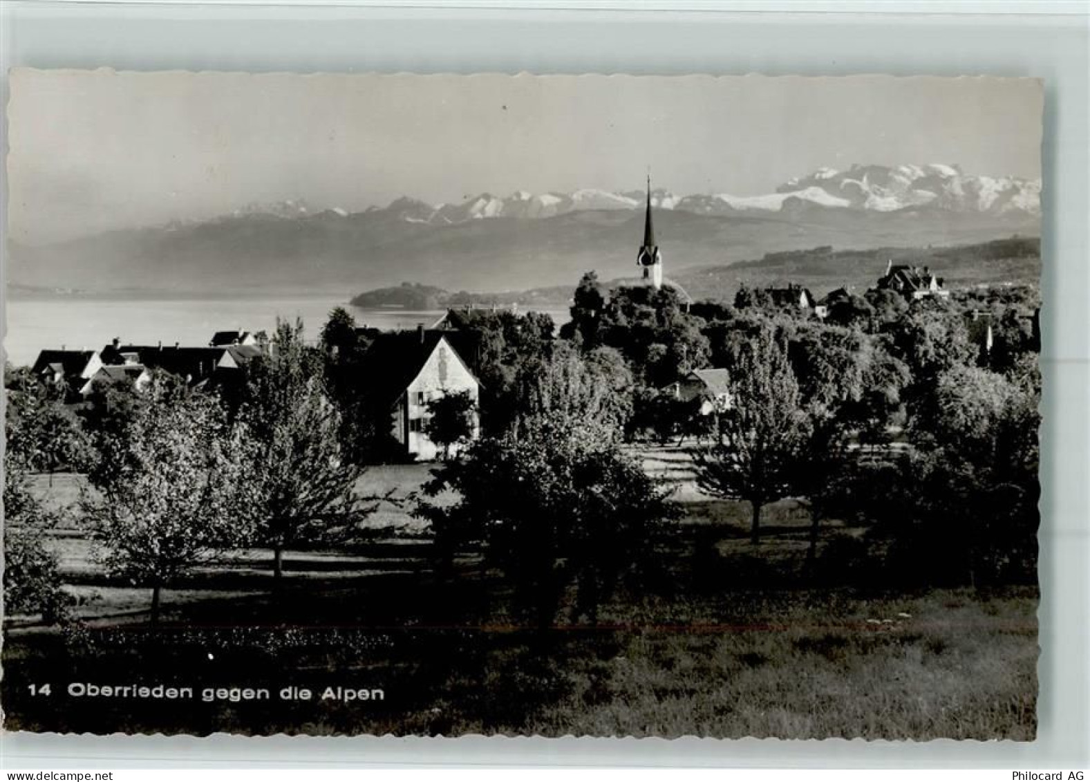 8942 Oberrieden - Oberrieden gegen Alpen - 13109593