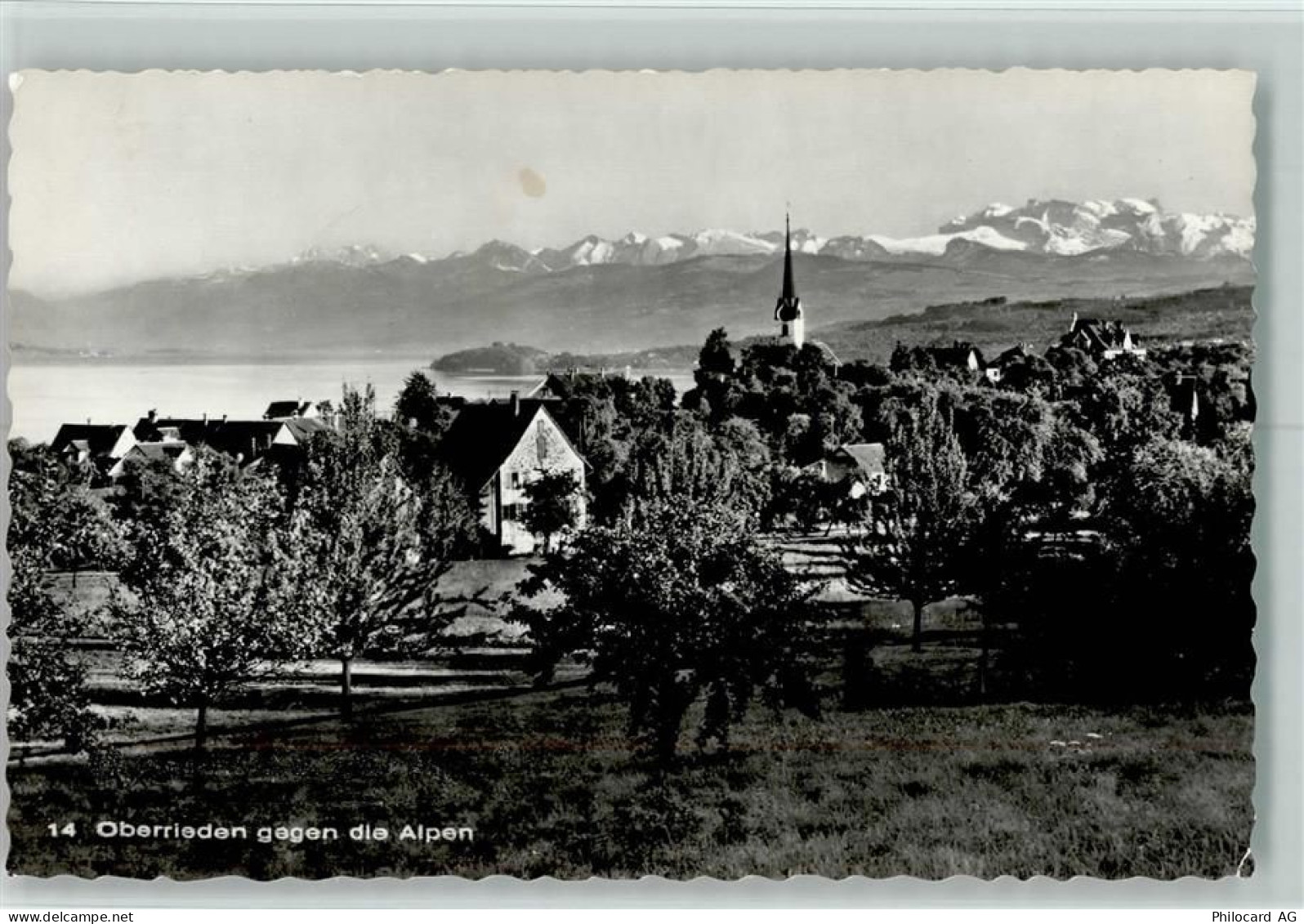 8942 Oberrieden - Oberrieden gegen Alpen - 13109651