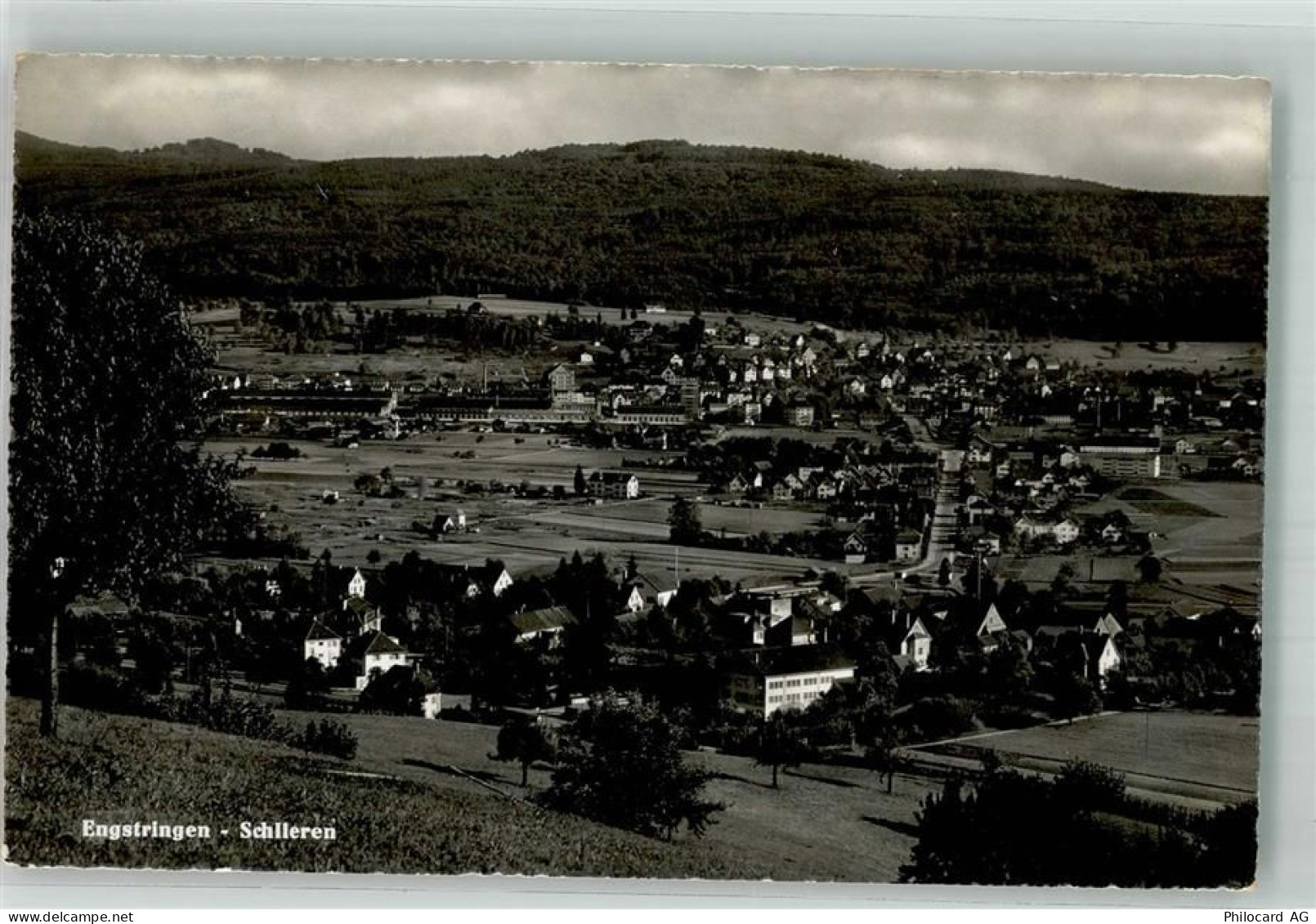 8952 Schlieren Foto AK - 10742389