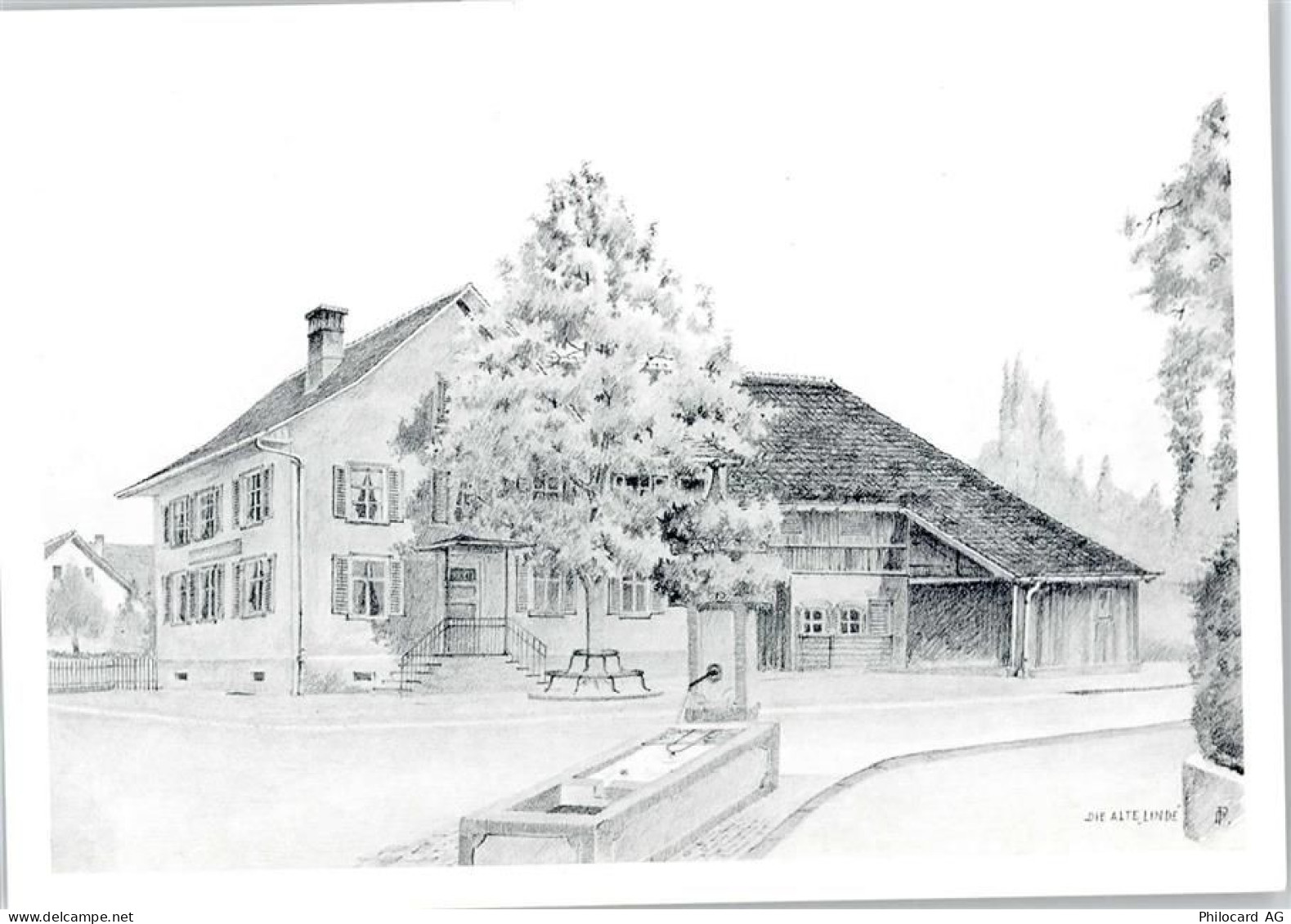 8952 Schlieren - Zeichnung, Die alte Linde - 50746266