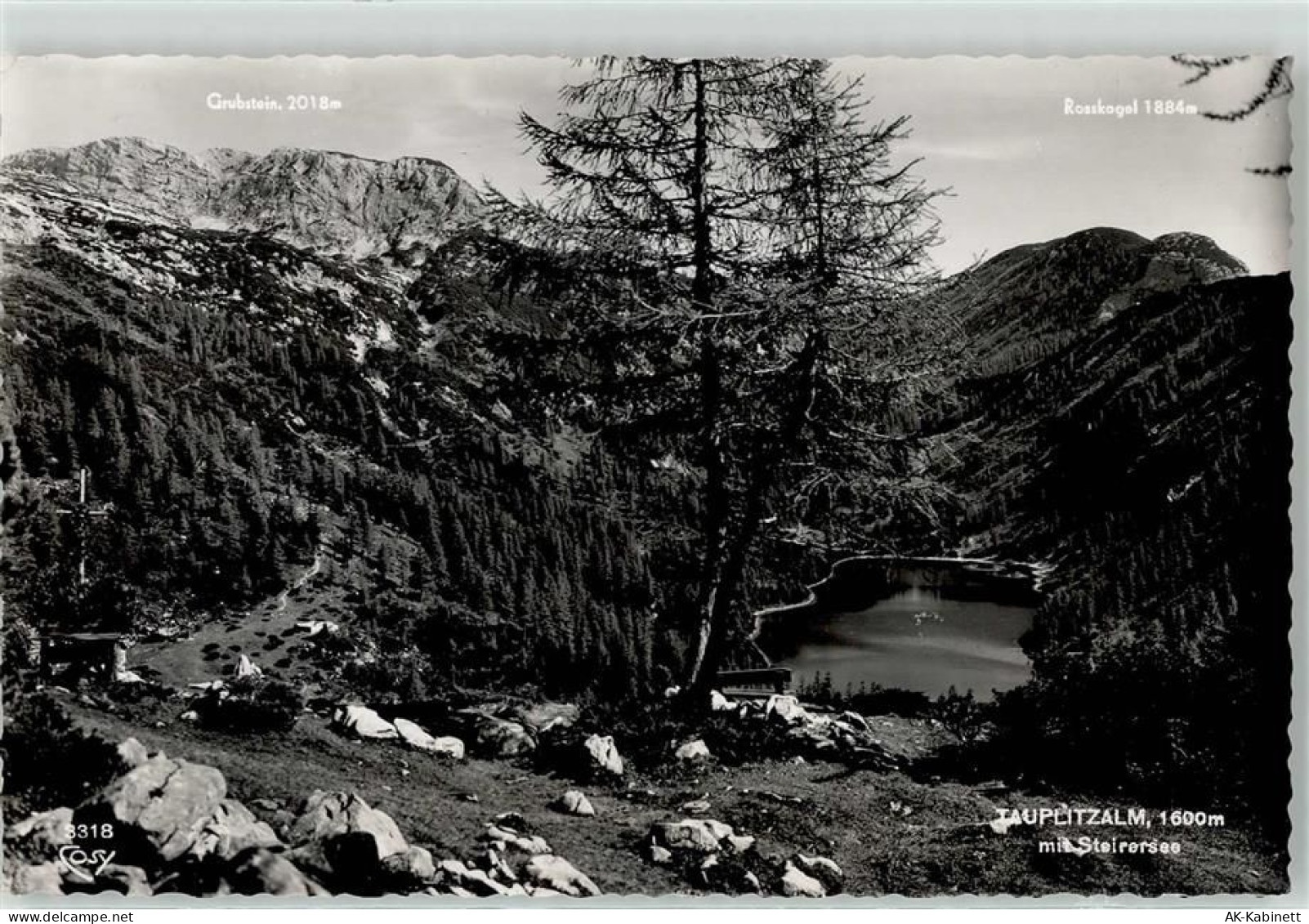8982 Tauplitz - 52136572