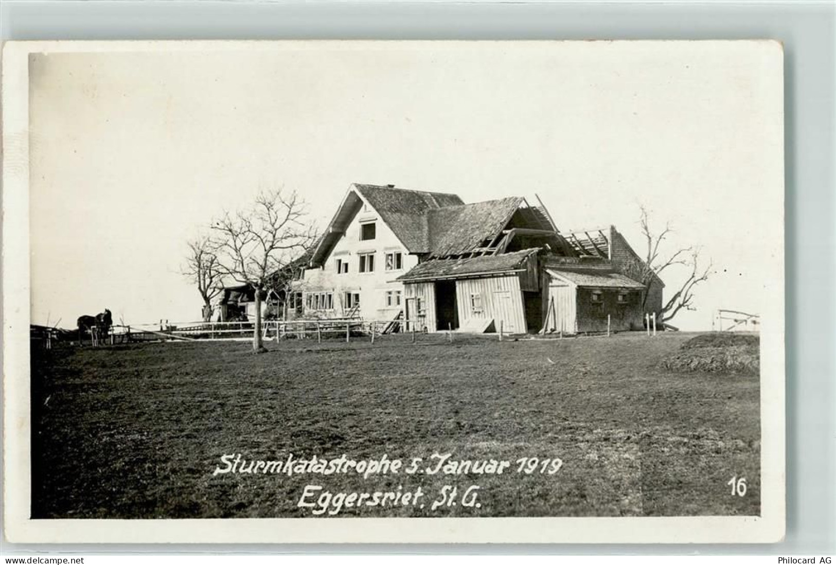 9034 Eggersriet 1919 Privatfoto AK Sturmkatastrphe - 13251101