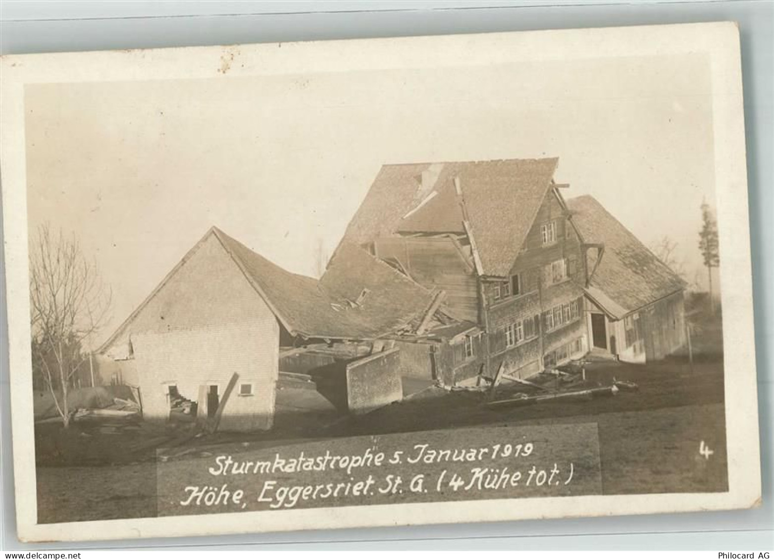 9034 Eggersriet 1920 Privatfoto AK Sturmkatastrophe 5.1.1919 - 13650805