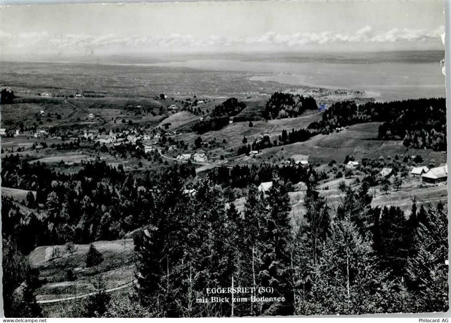 9034 Eggersriet - Blick zum Bodensee - 50796899