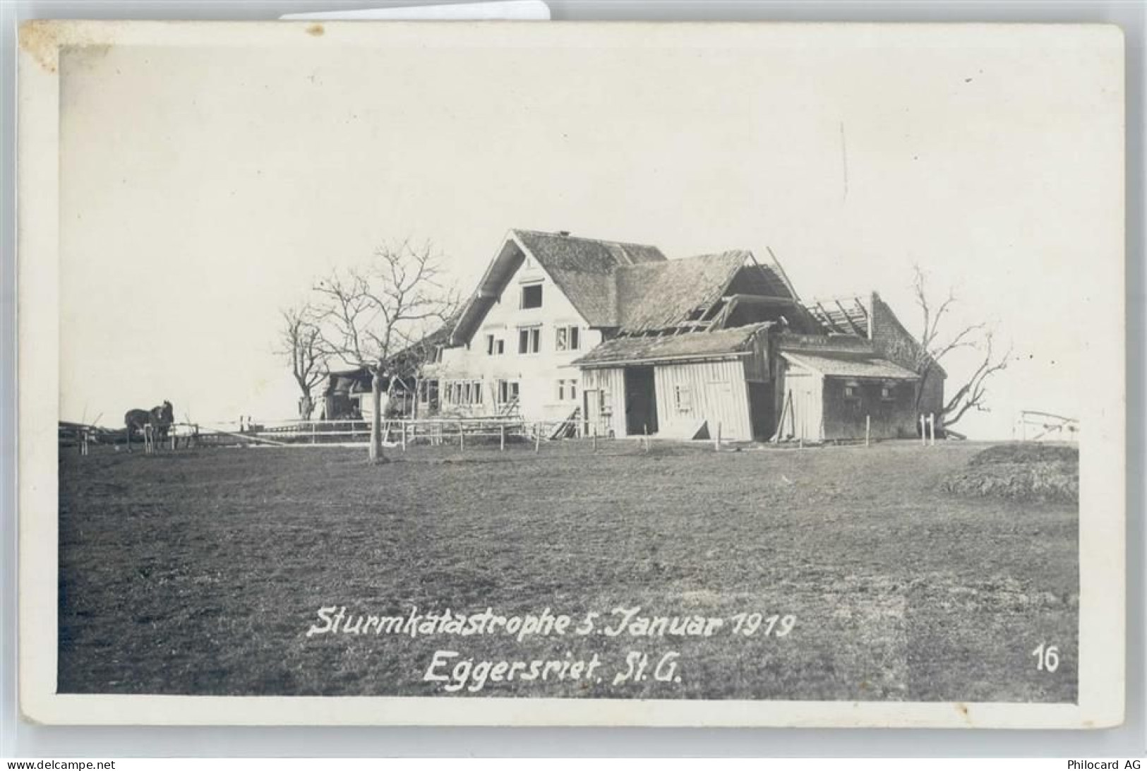 9034 Eggersriet - Sturmkatastrope 5. januar 1919 - 50895028