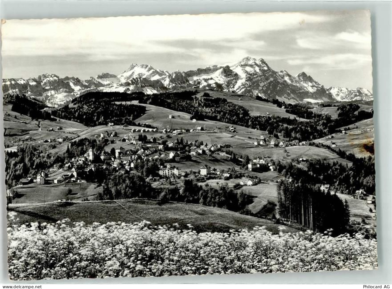9043 Trogen - 39402353
