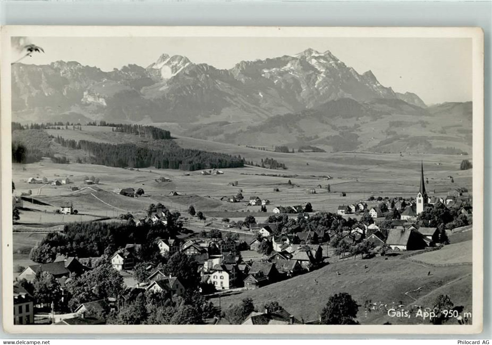 9056 Gais - 10305646