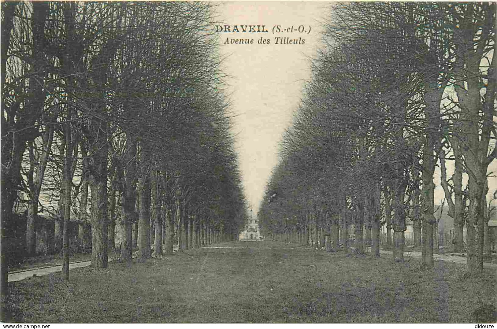 91 - Draveil - Avenue des Tilleuls - CPA - Voir Scans Recto-Verso