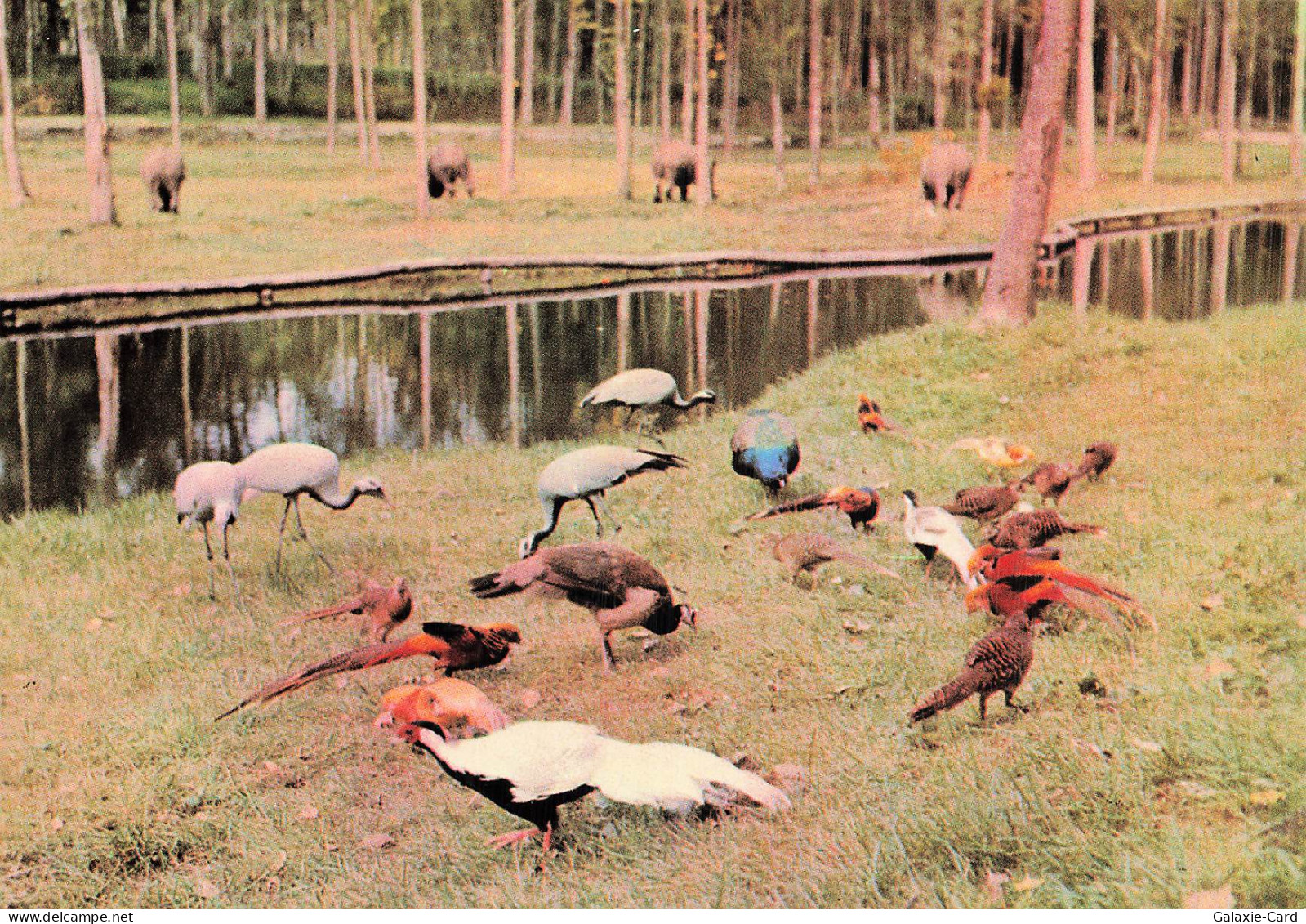 91 SAINT VRAIN PARC DE SAINT VRAIN