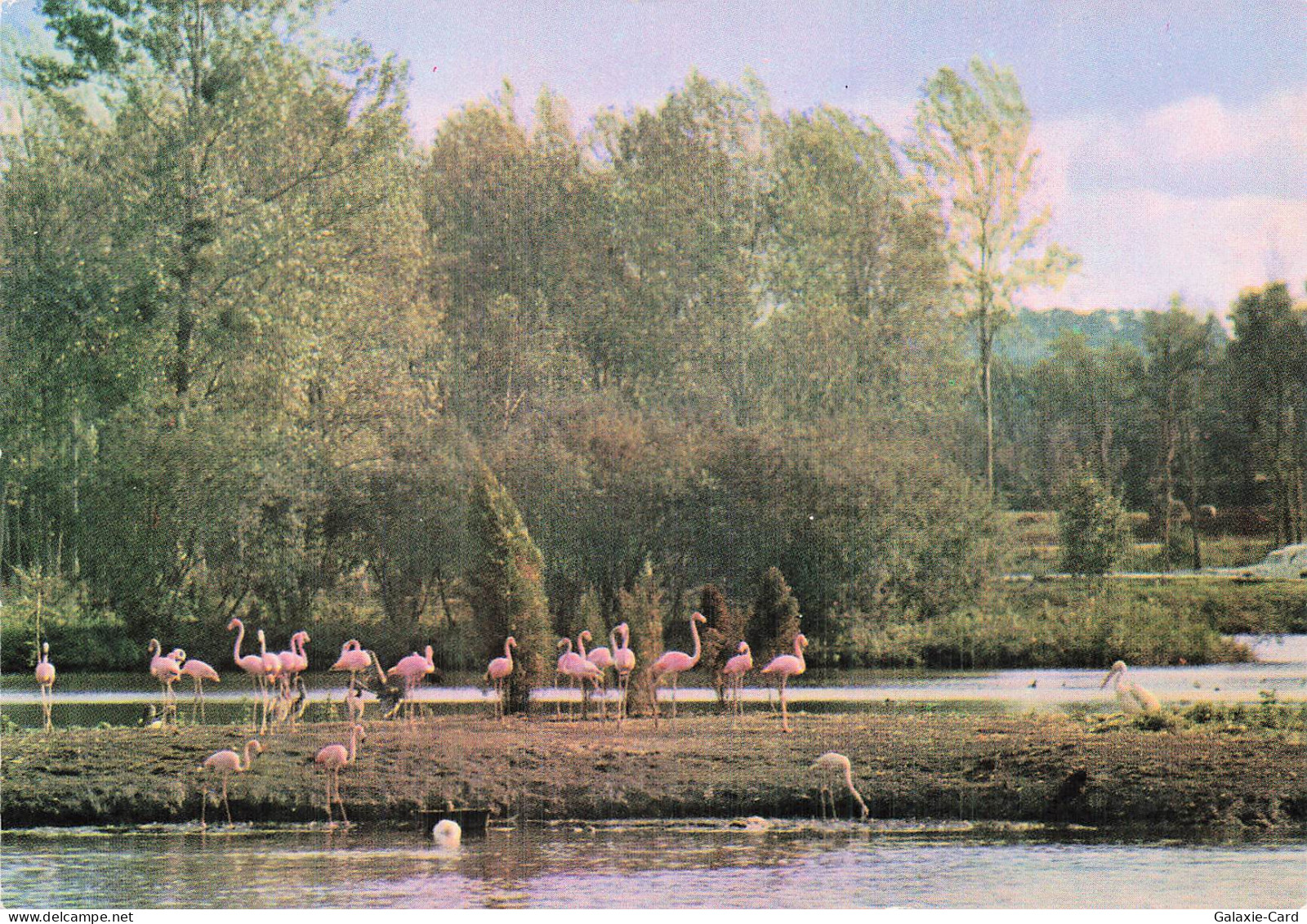 91 SAINT VRAIN PARC DE SAINT VRAIN