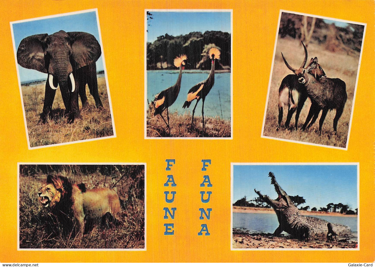 91 SAINT VRAIN PARC DE SAINT VRAIN