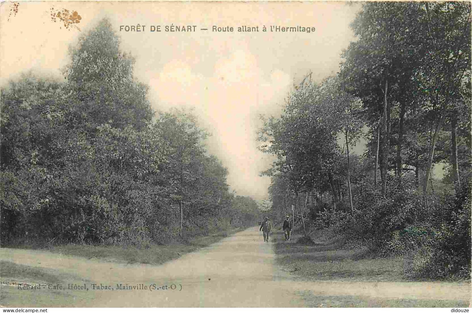 91 - Sénart - Forêt de Sénart - Route allant à l'Hermitage - Animée - CPA - Oblitération de 1905 - Voir Scans Recto-Vers