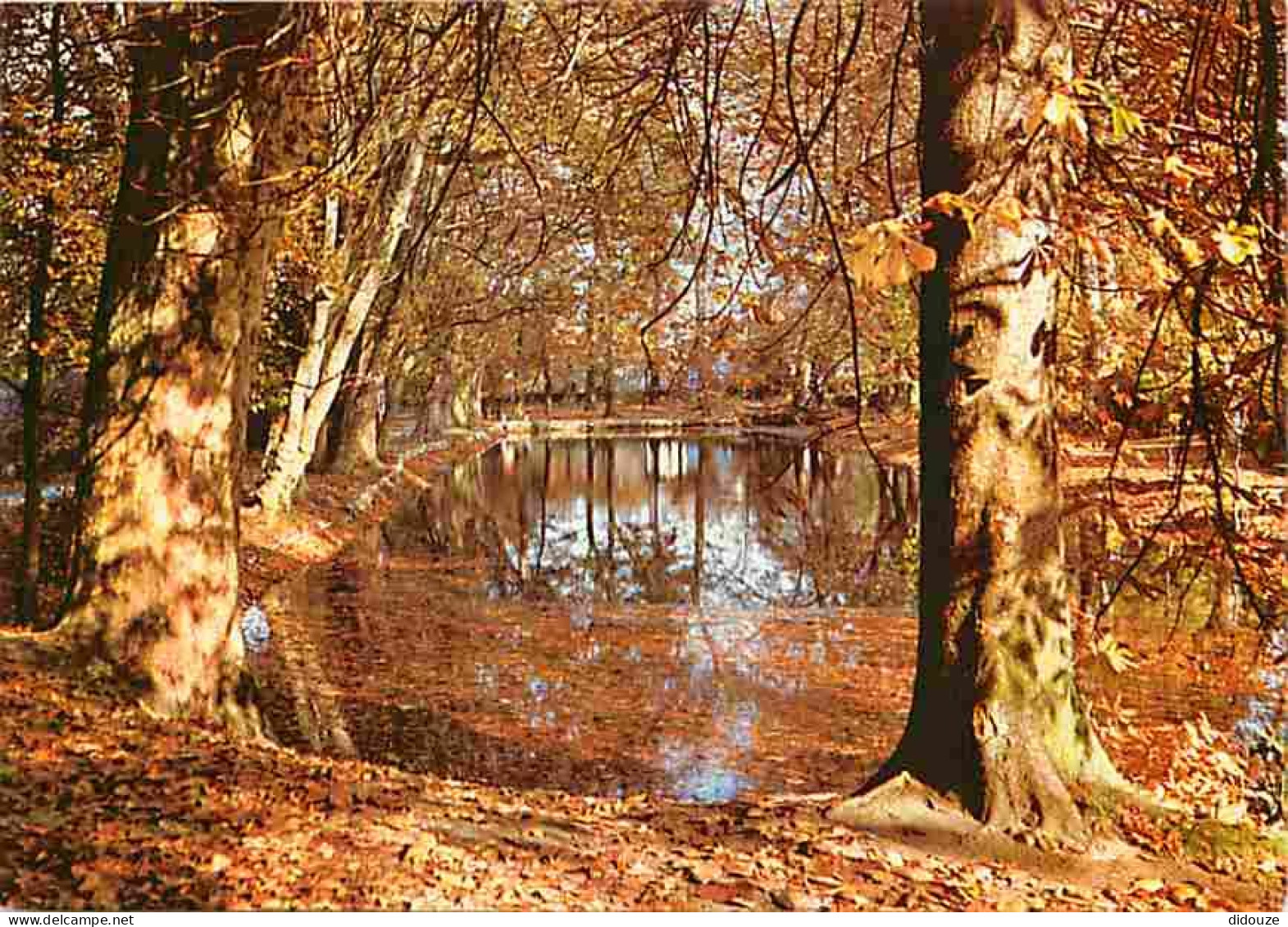 91 - Viry-Chatillon - Le parc Leblanc - CPM - Voir Scans Recto-Verso