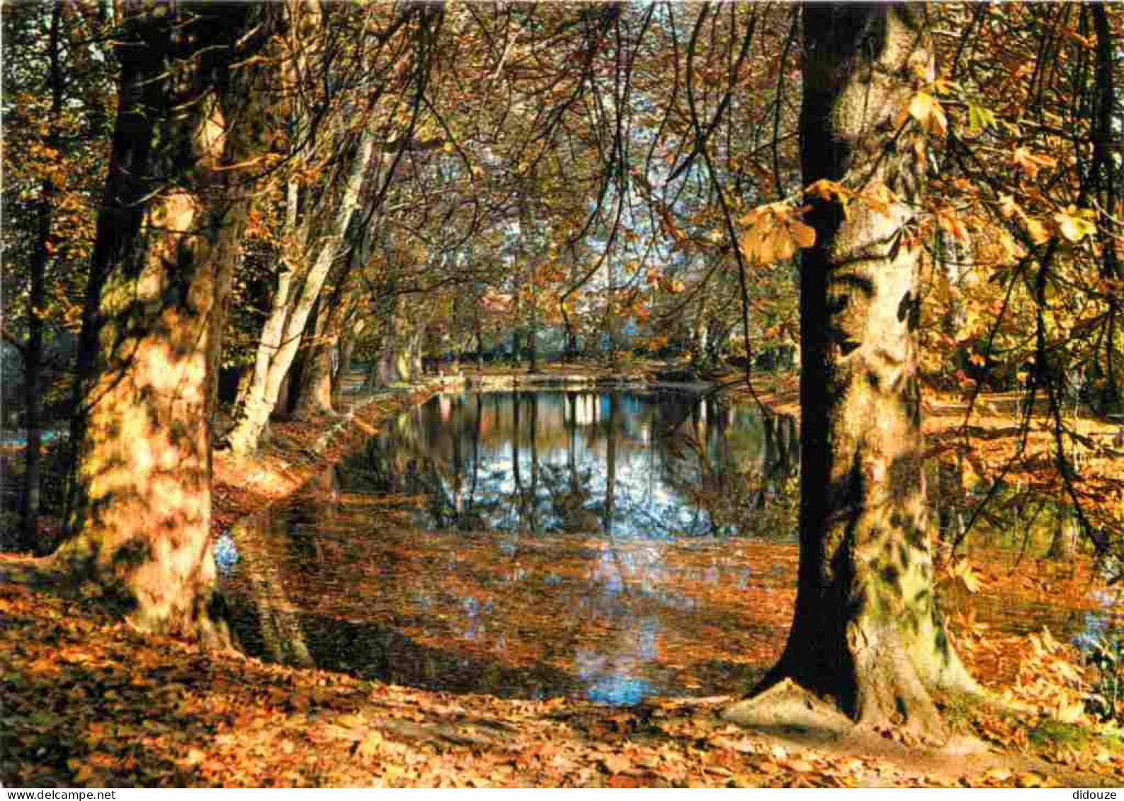 91 - Viry-Chatillon - Le parc Leblanc - CPM - Voir Scans Recto-Verso