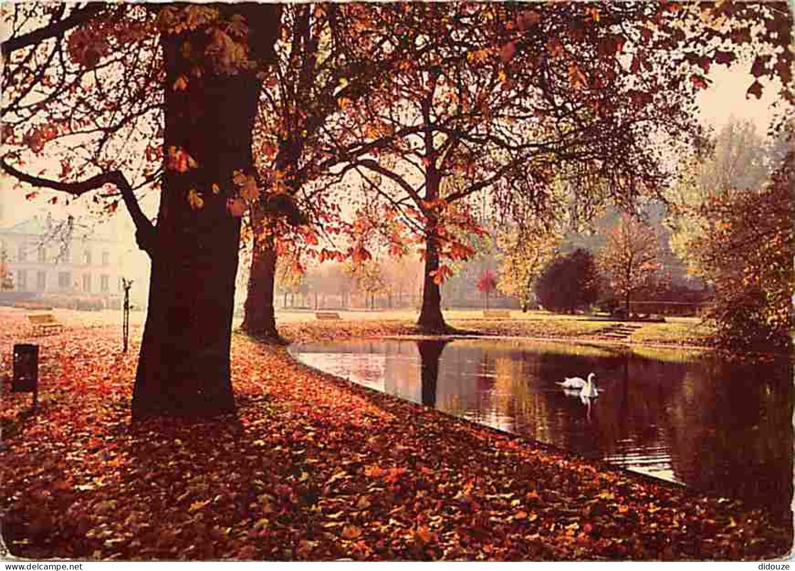 91 - Viry-Chatillon - Le parc Leblanc - Cygnes - CPM - Voir Scans Recto-Verso