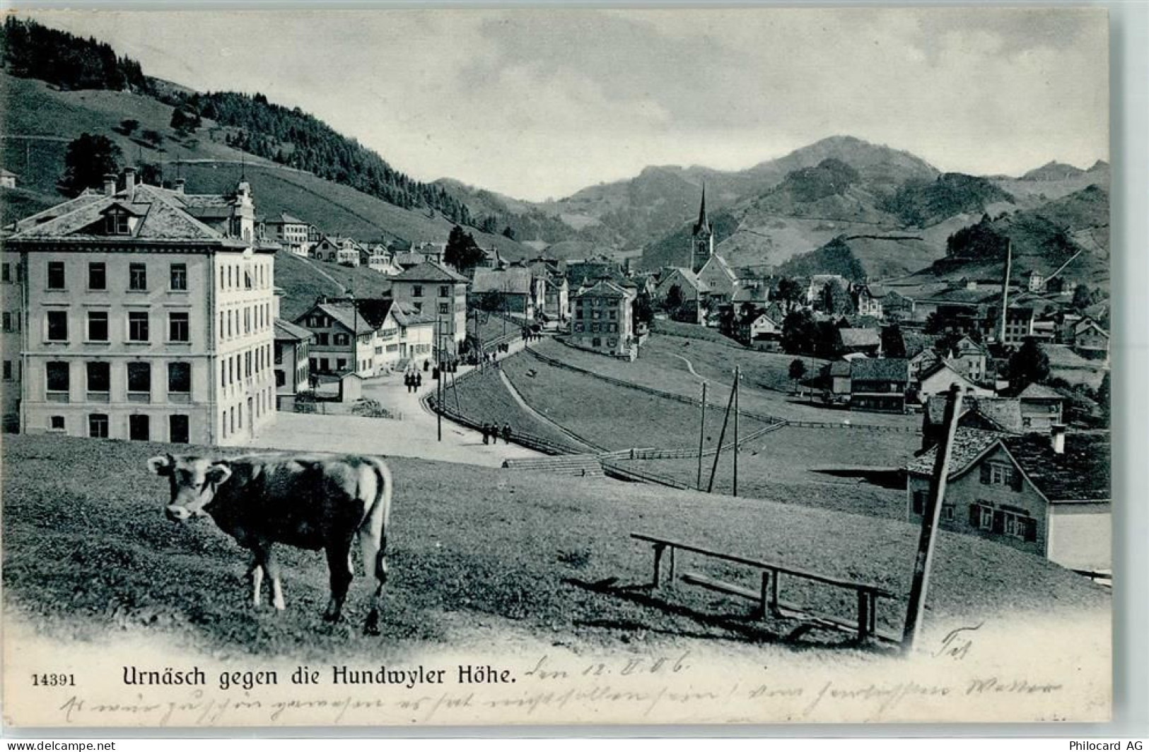 9107 Urnäsch 1906 - Urnäsch gegen die Hundwyler Höhe Kuh - 13128332