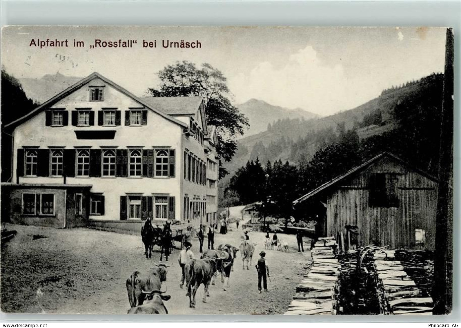 9107 Urnäsch - Alpfahrt im Rossfall Kühe - 13128200