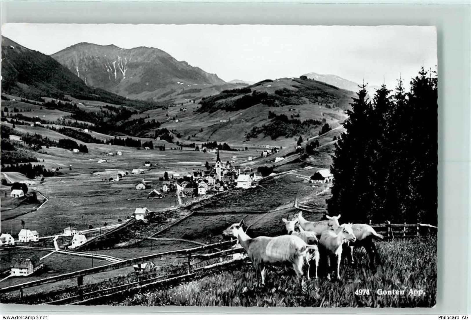 9108 Gonten - 10204028