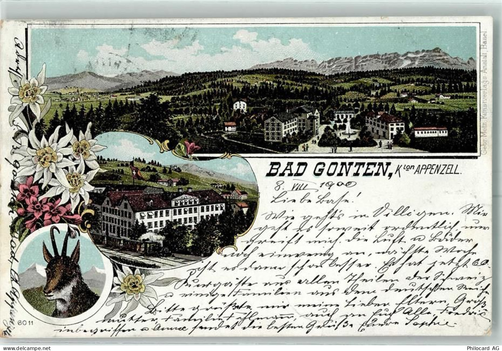 9108 Gonten 1900 Lithographie Gämse - 13601473