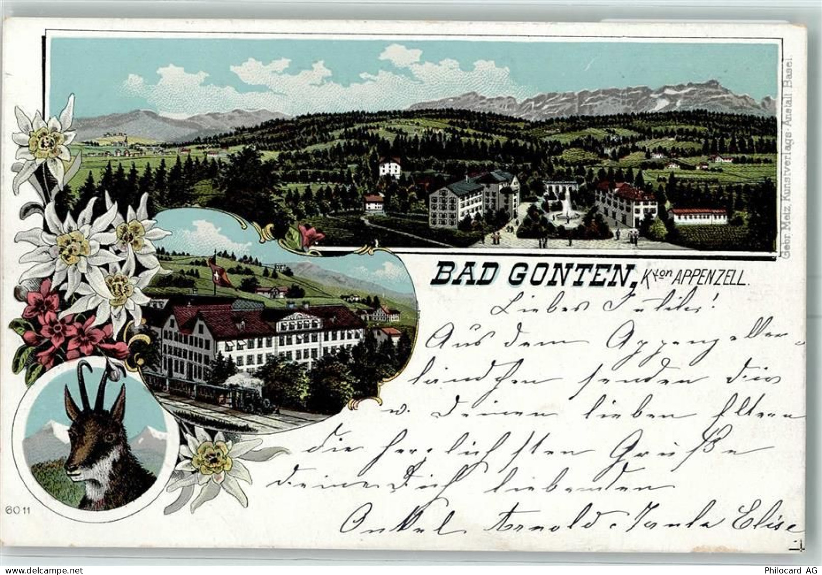 9108 Gonten 1902 Lithographie Gämse - 13601343