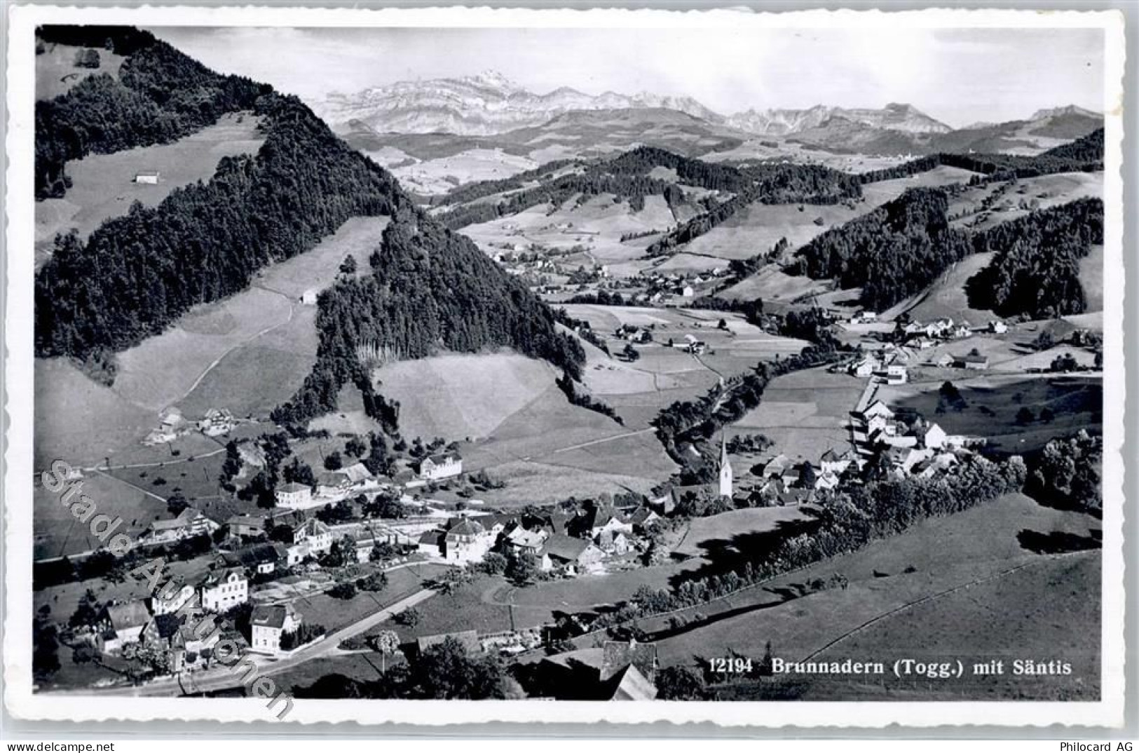 9125 Brunnadern - Blick mit Säntis - 51282235