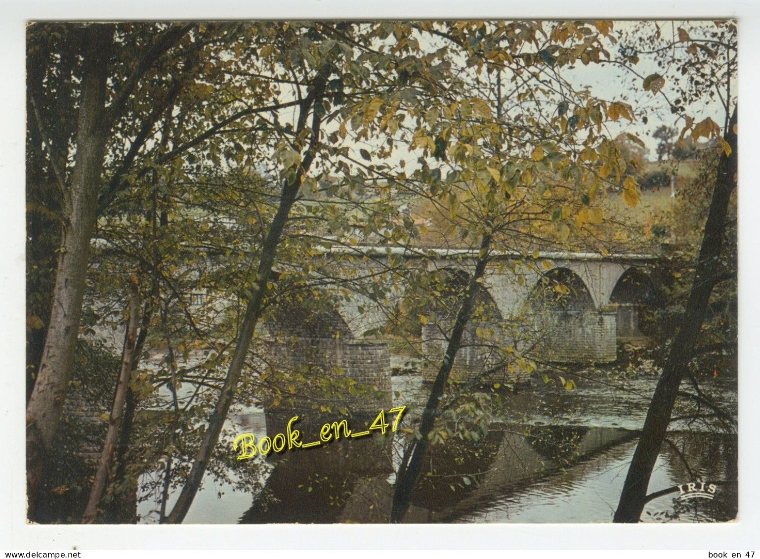 {91268} 87 Haute Vienne Condat sur Vienne , Le pont sur la Vienne