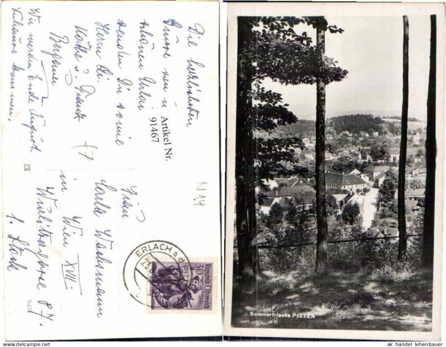 91467,Sommerfrische Pitten Partie im Wald