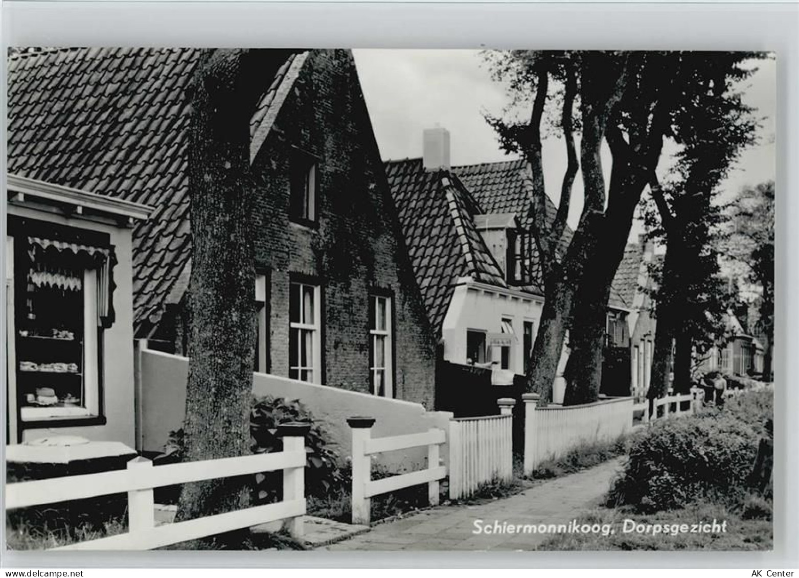 9166 Schiermonnikoog - Dorpsgezicht - 10032141