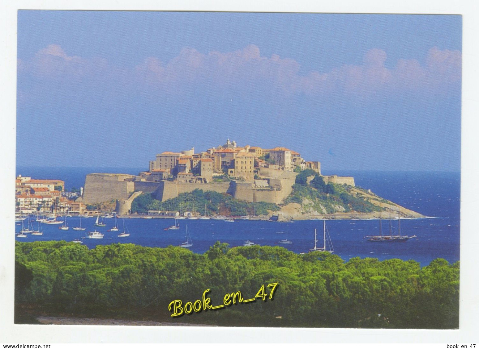 {91694} 20 2B Haute Corse Calvi ; vue générale