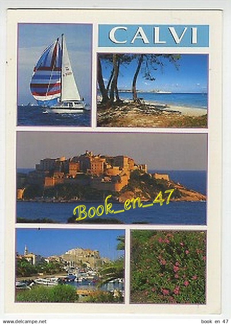 {92664} 20 2B Haute Corse Calvi , multivues ; divers aspects
