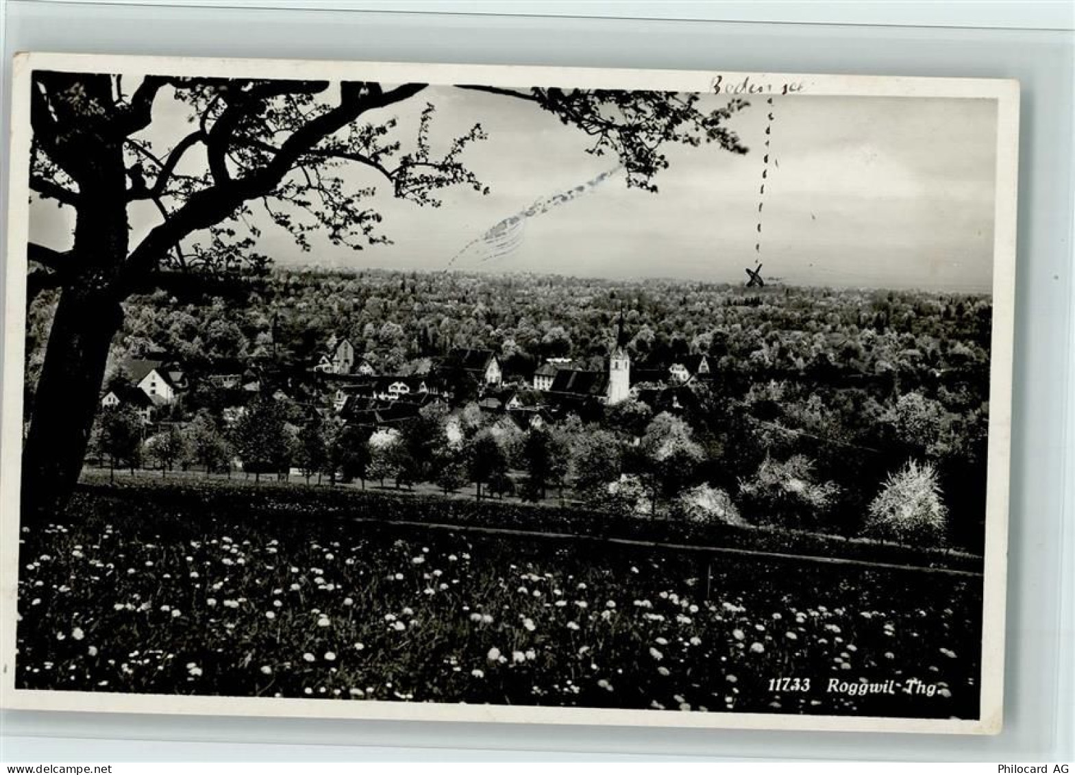 9325 Roggwil TG - Baum blühende Wiese - 12111165