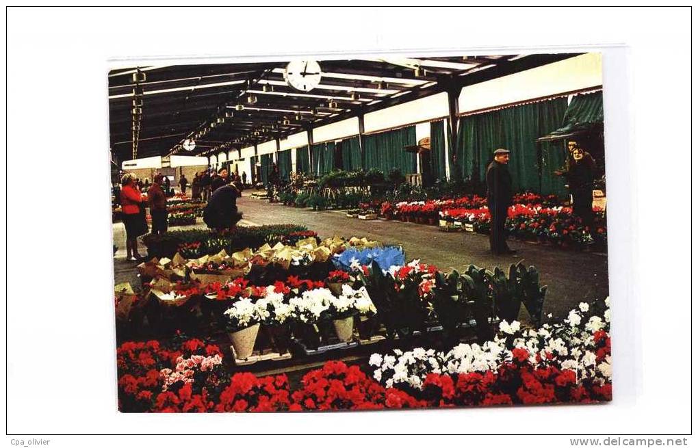 94 RUNGIS Halles de Paris Rungis, Pavillon des Fleurs en Pots, Fleuristes, ed Yvon 2191, CPSM 10x15, 197?