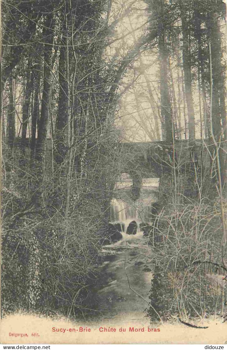 94 - Sucy en Brie - Chute du Mord bras - CPA - Voir Scans Recto-Verso