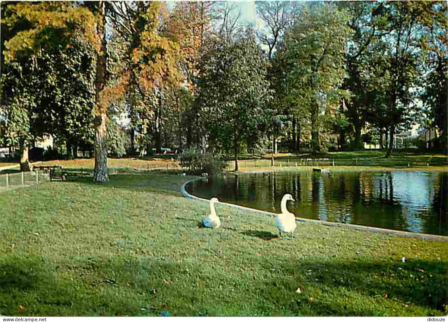 94 - Vitry sur Seine - Le parc - Cygnes - CPM - Voir Scans Recto-Verso