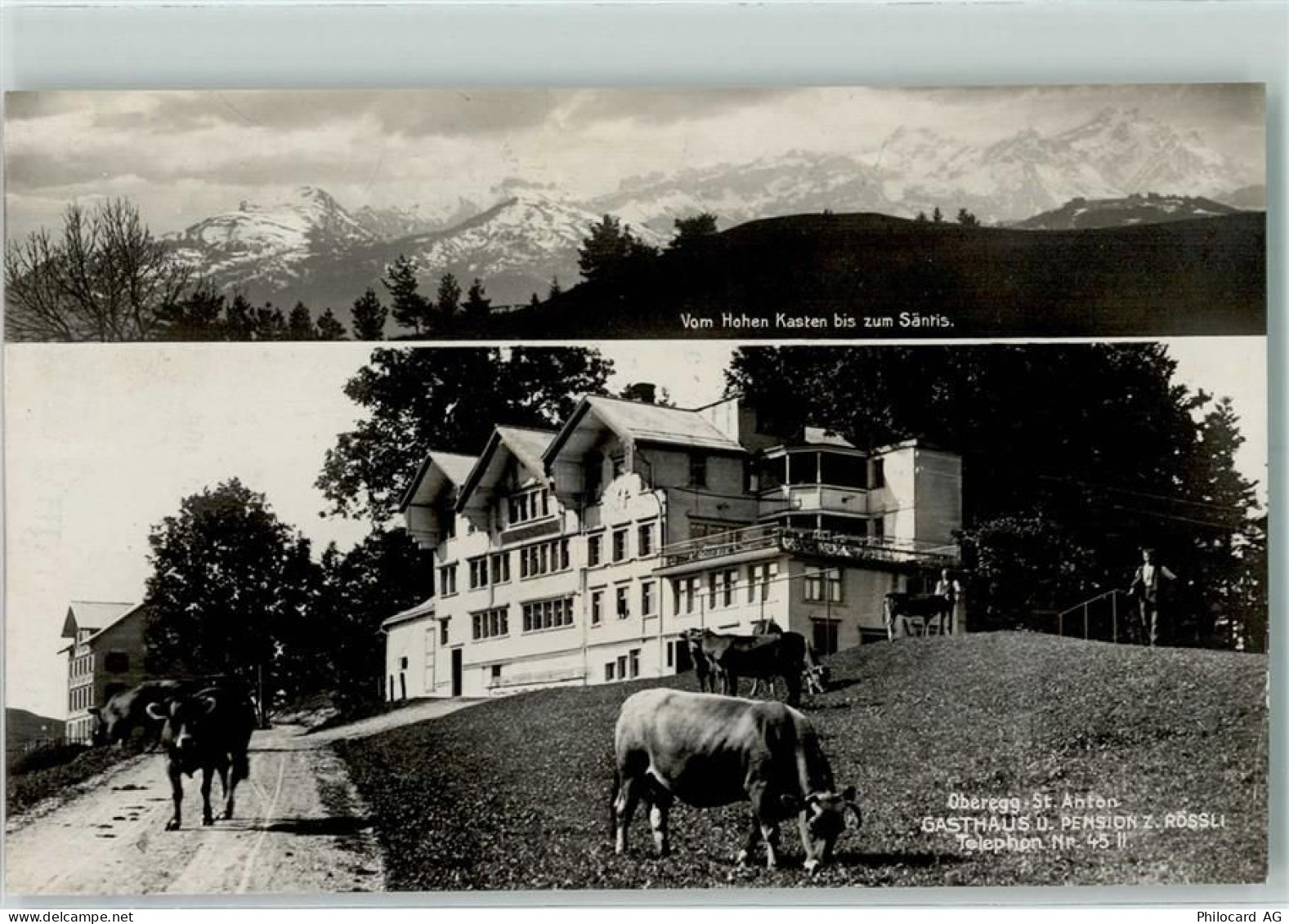 9413 Oberegg - Gasthaus Rössli Kühe - 10305557