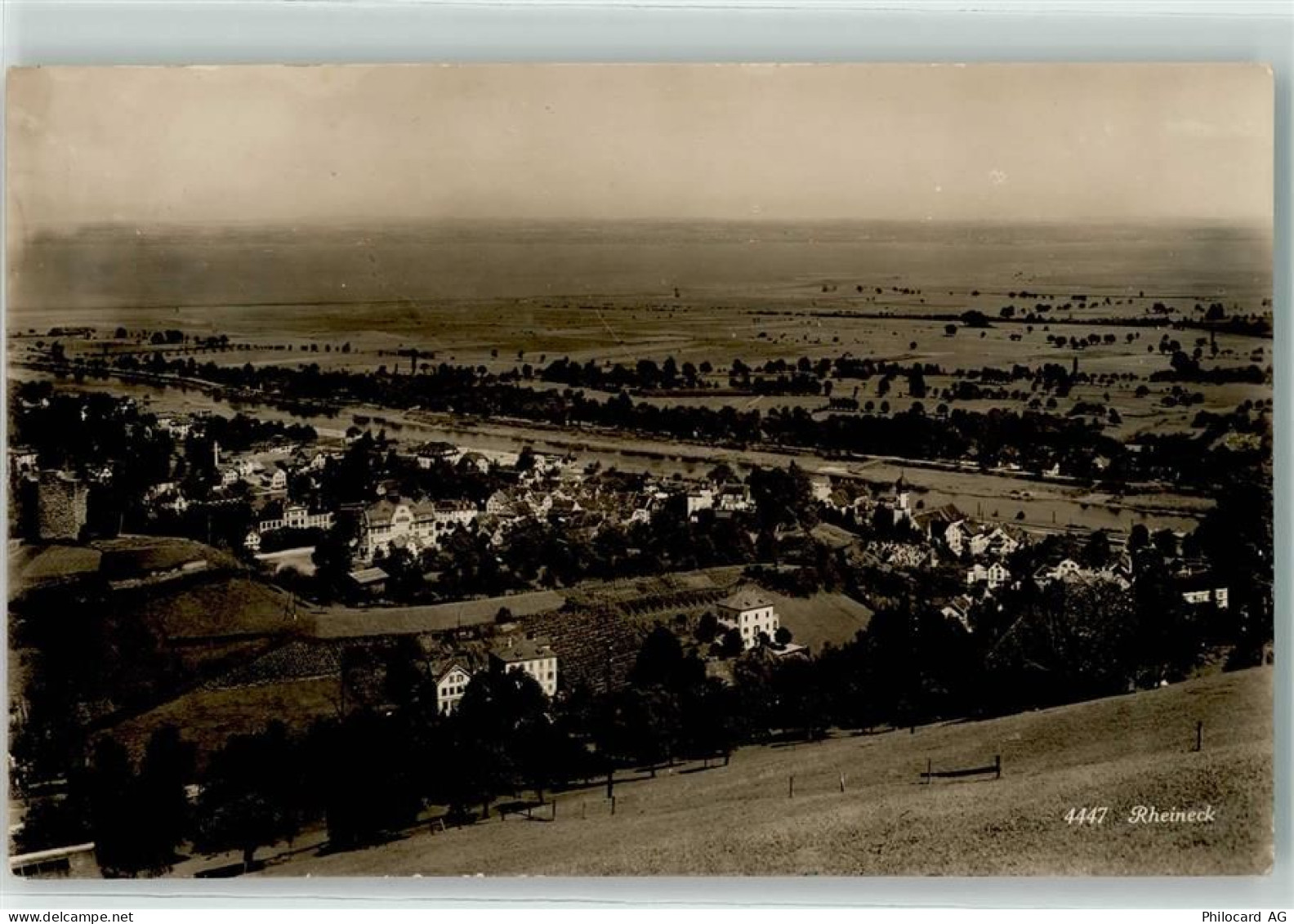 9424 Rheineck - 13191434