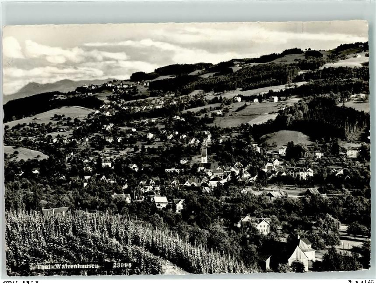 9425 Thal - 10604616