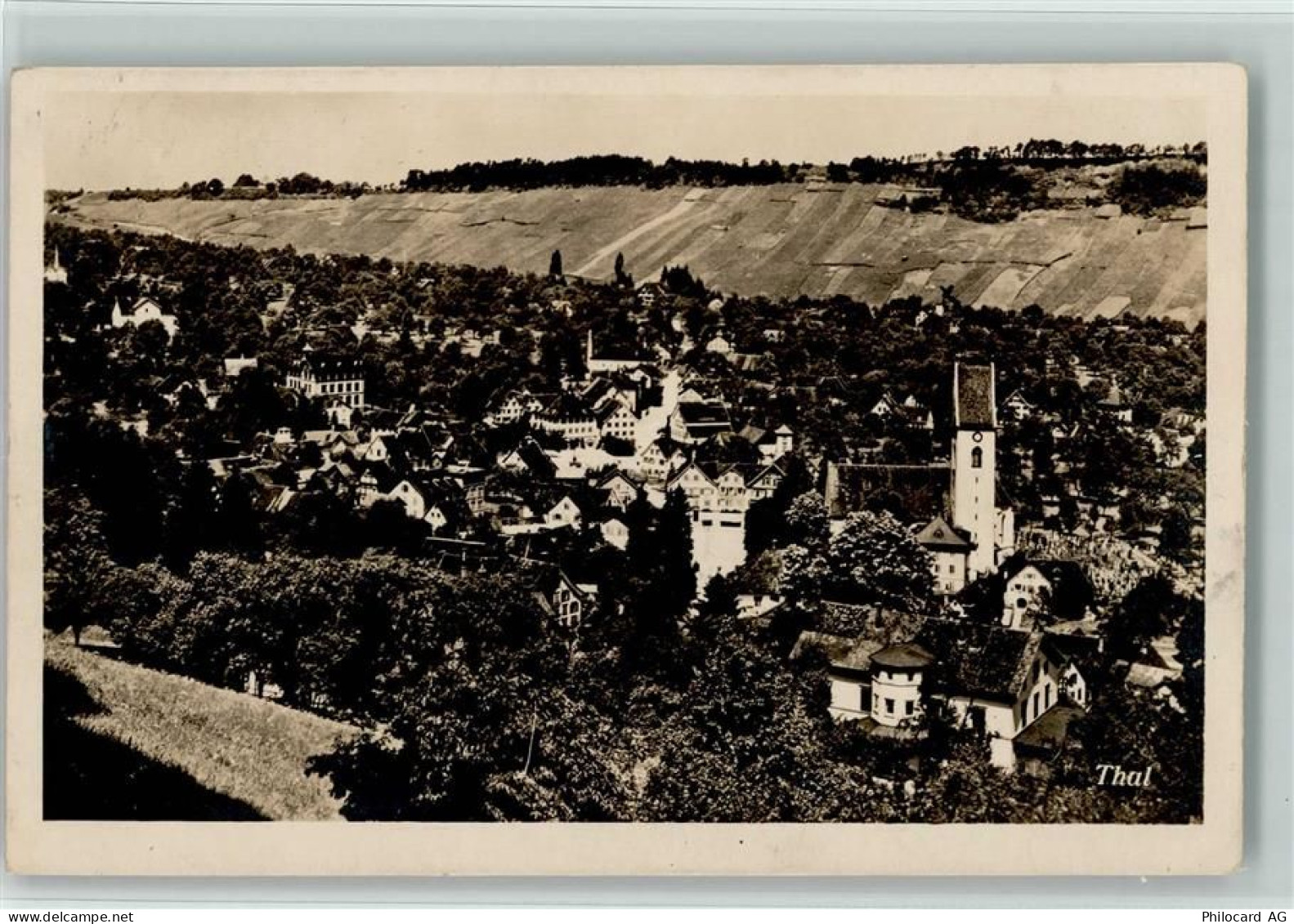 9425 Thal - 13114151