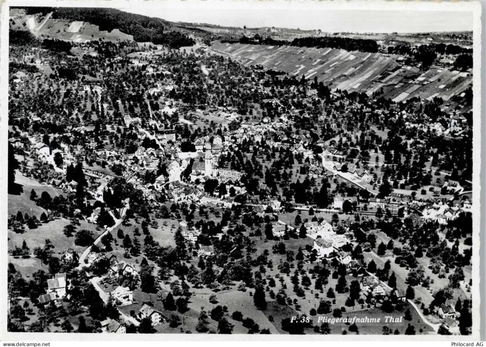 9425 Thal - Fliegeraufnahme - 50773007