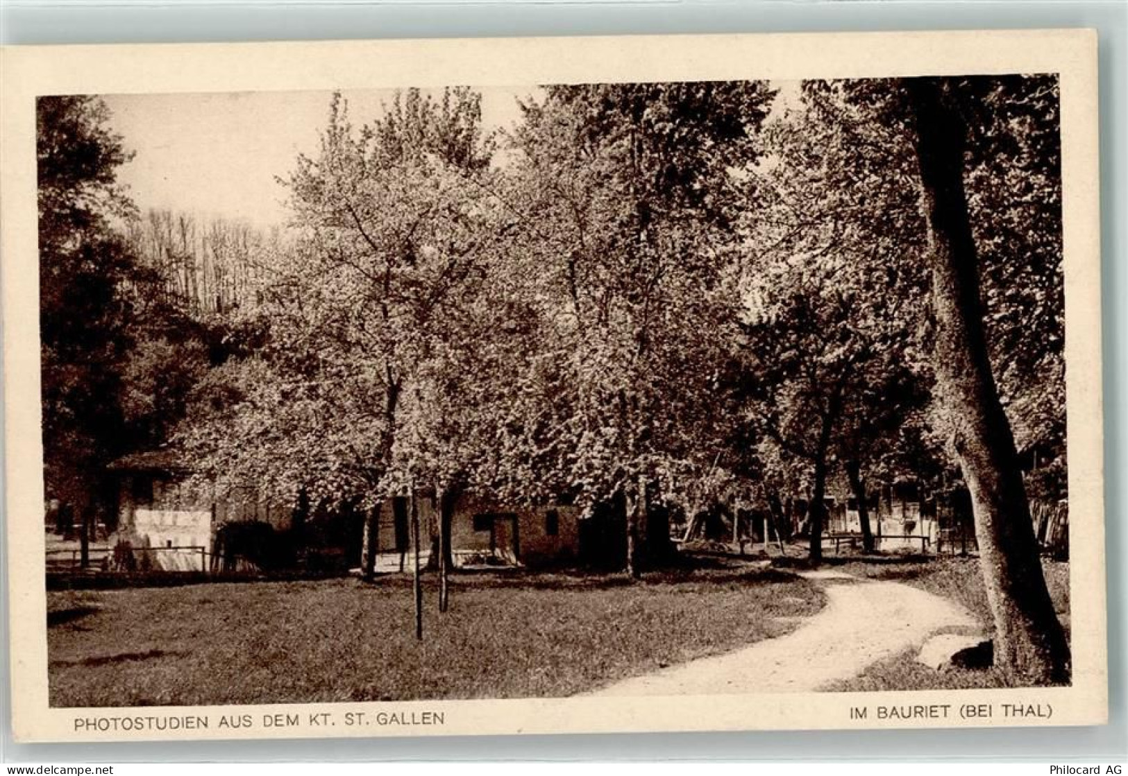 9425 Thal - Im Bauriet - 10623099