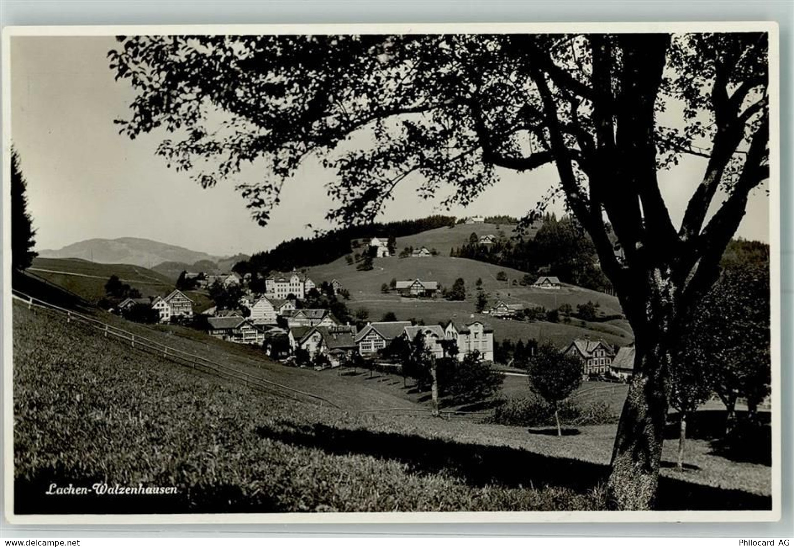 9428 Lachen - 13160294