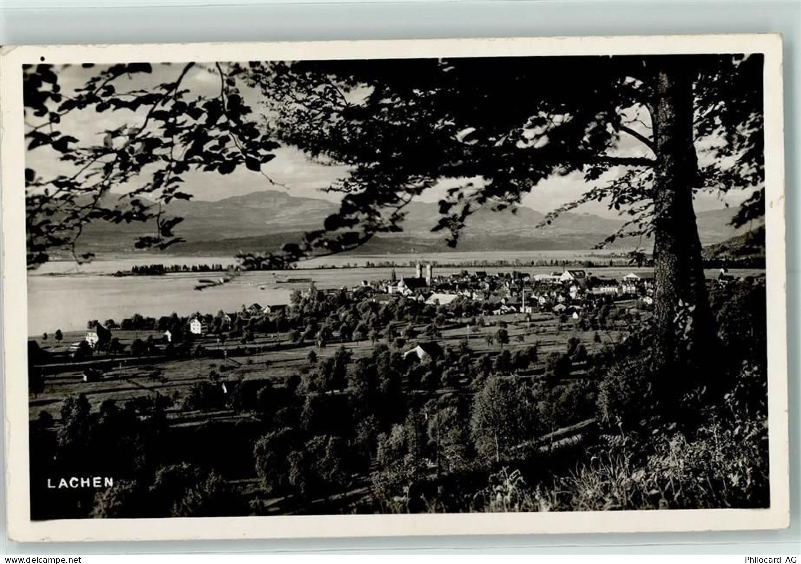 9428 Lachen - Baum Feldpost - 10216556