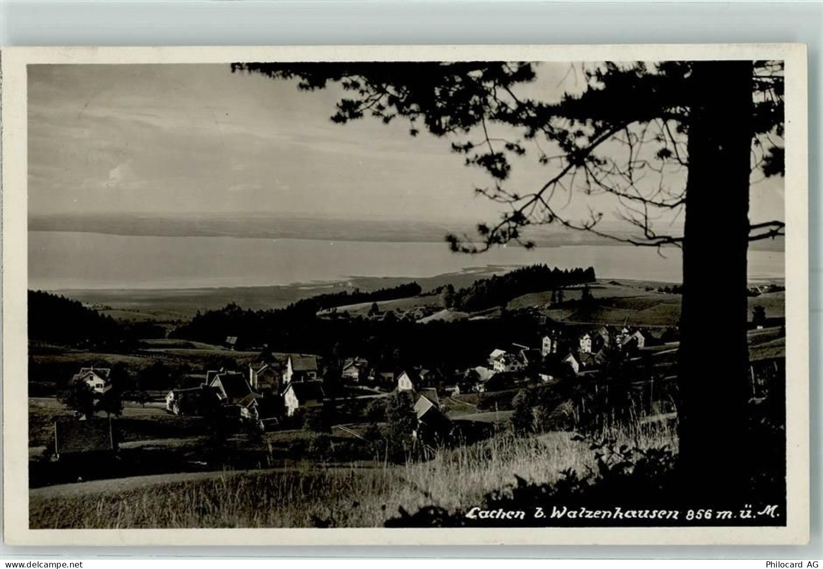 9428 Lachen - bei Walzenhausen - 10395894