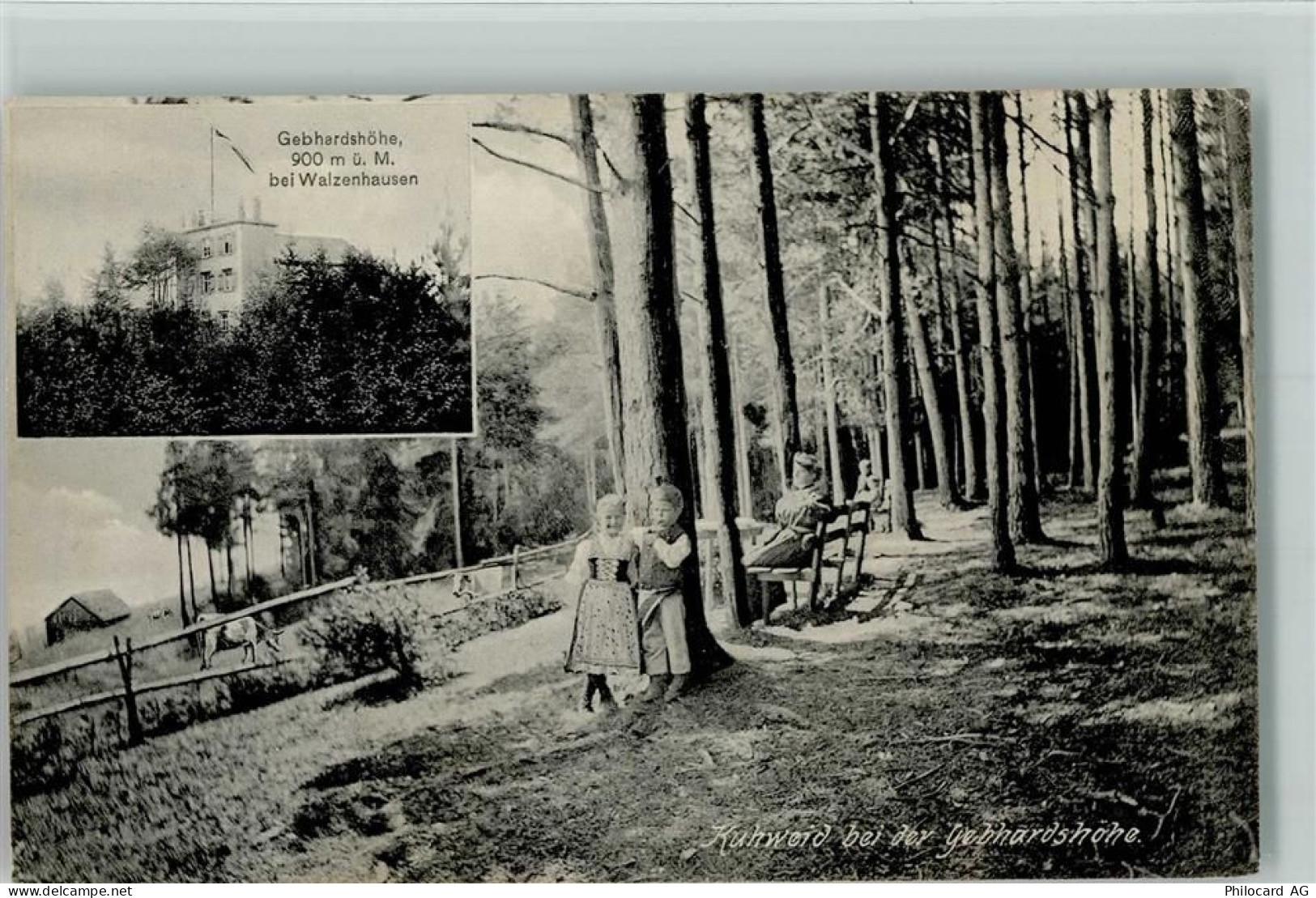 9428 Walzenhausen - Gebhardshöhe bei Walzenhausen Kuhweid bei der Gebhar... - 13095293