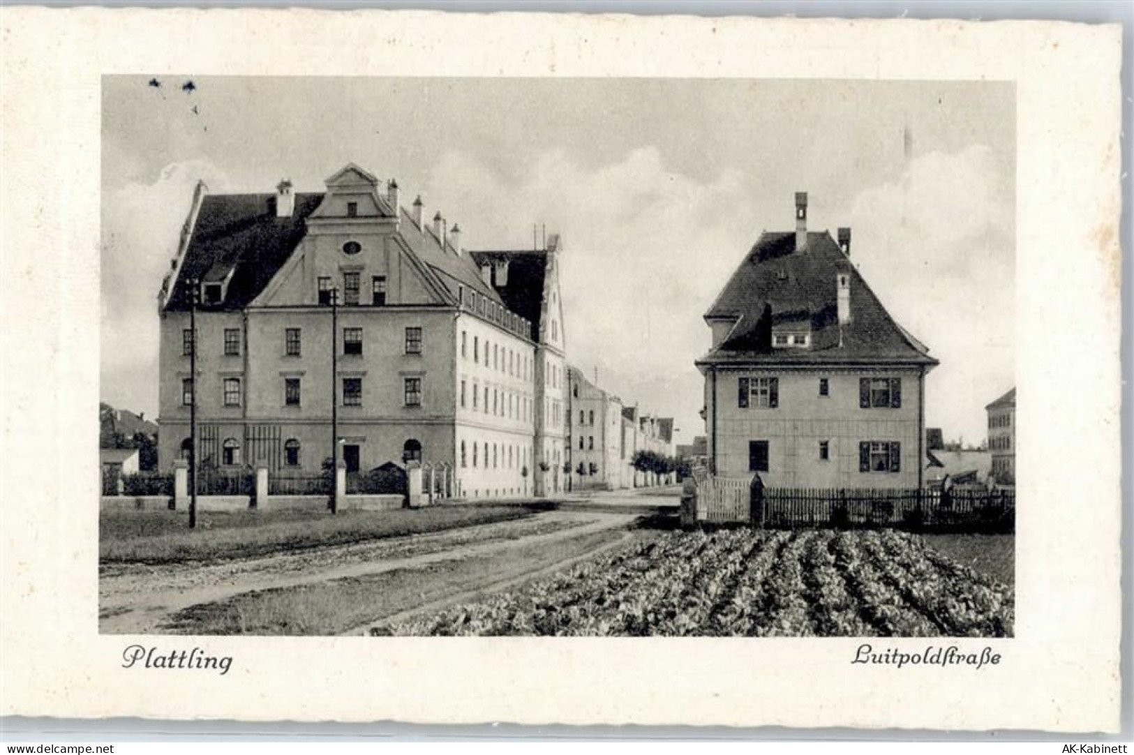 94447 W8350 Plattling - Luitpoldstraße - 51505590